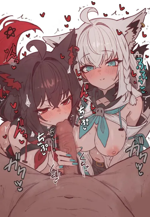 The best pets know how to teamwork~