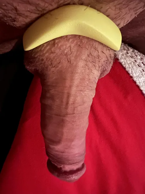 [Velv’Or JNada] for the night