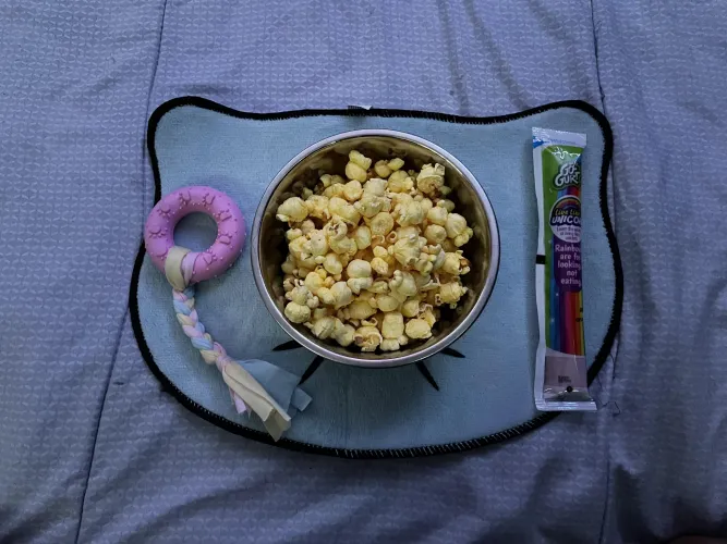 What is every pups favorite treat?