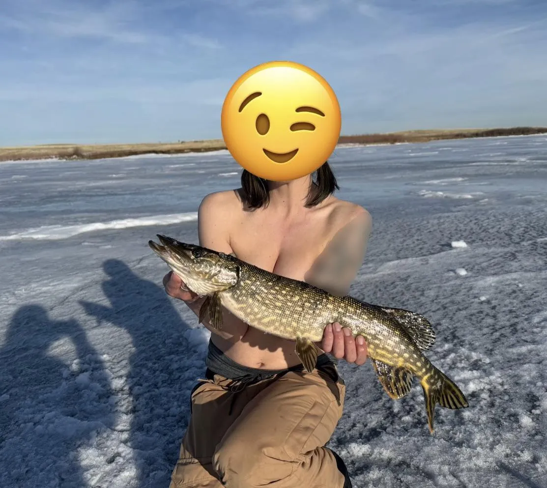 Fat lil pike for the first fish of the year