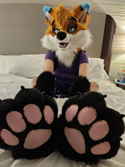 Will you kiss my paws?