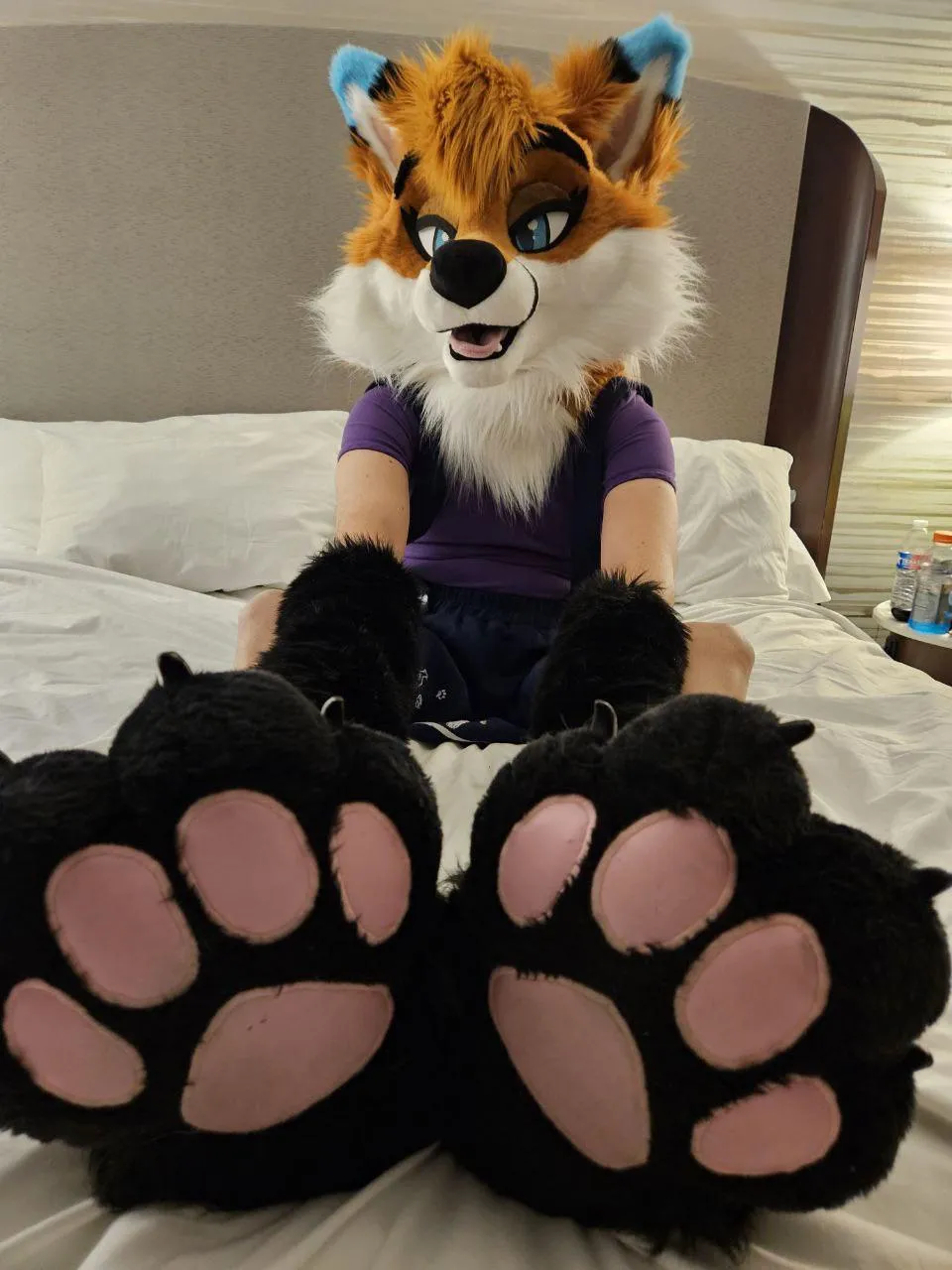 Will you kiss my paws?