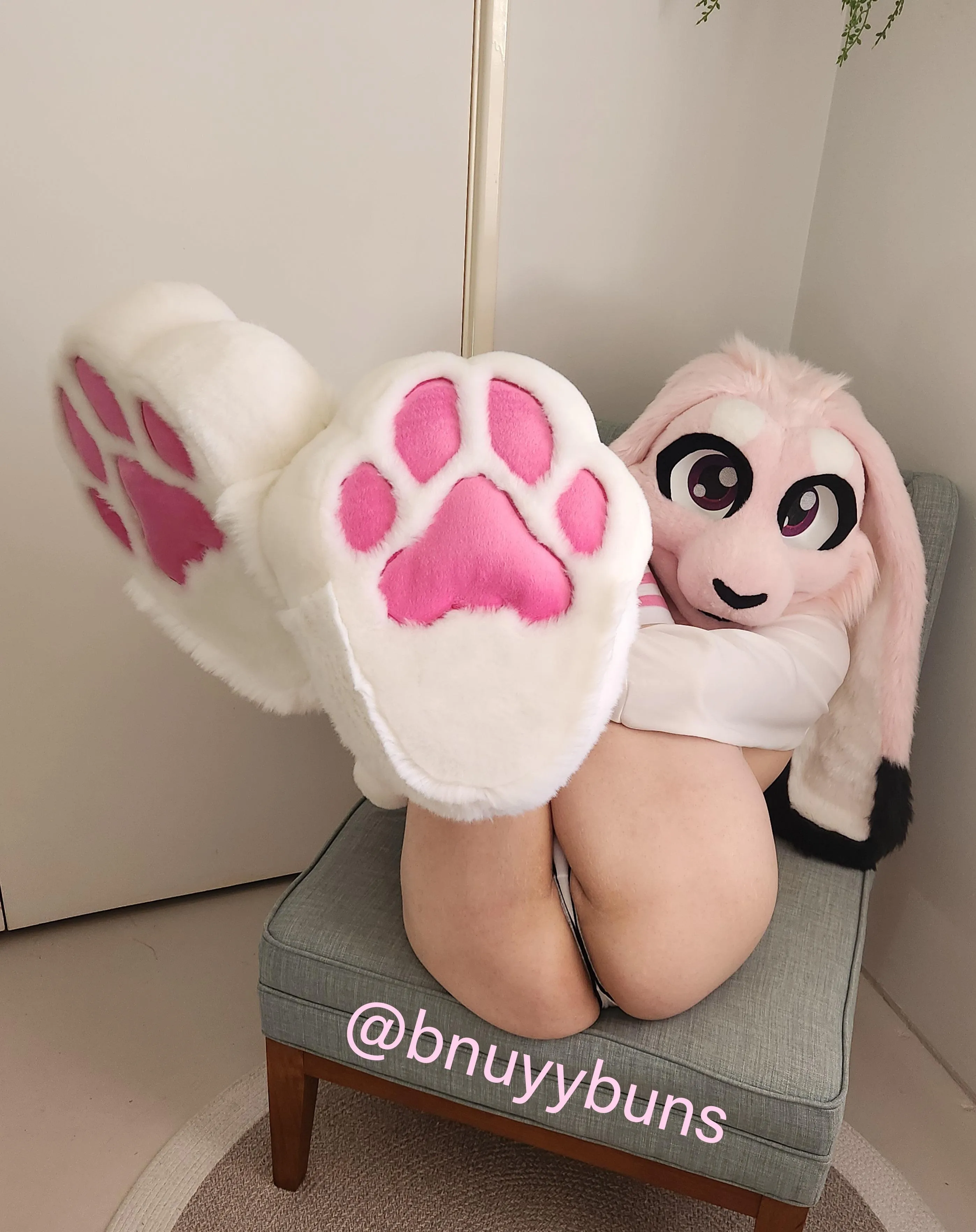 Would you kiss my paws while breeding me? 🩷