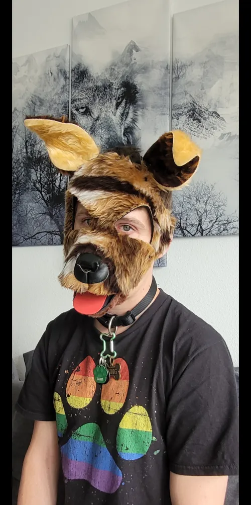 🐾 Hey I'm Here, Arwooo