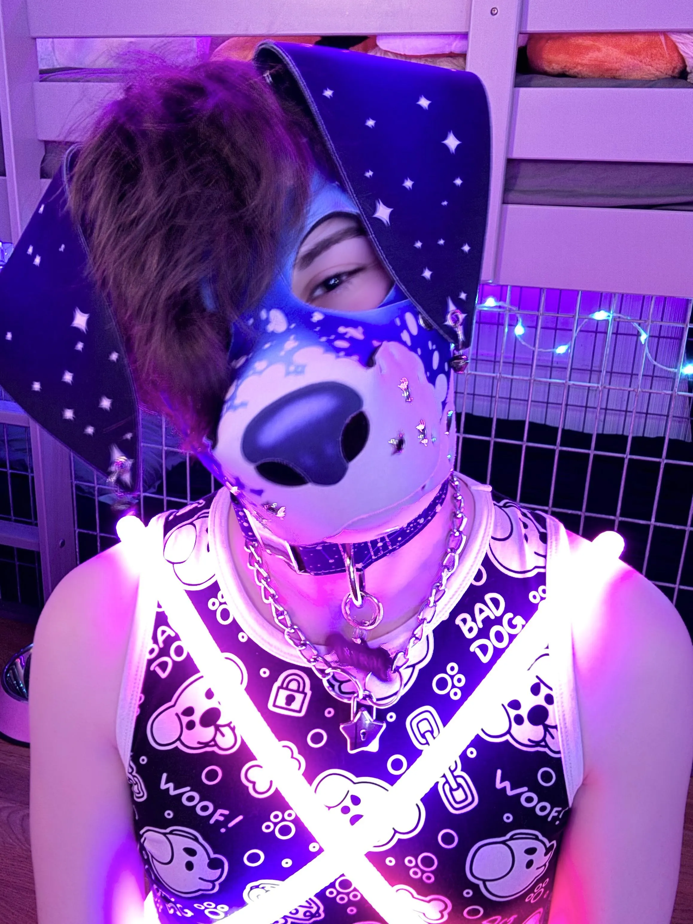 Rave pup! Showing off my new RGB harness