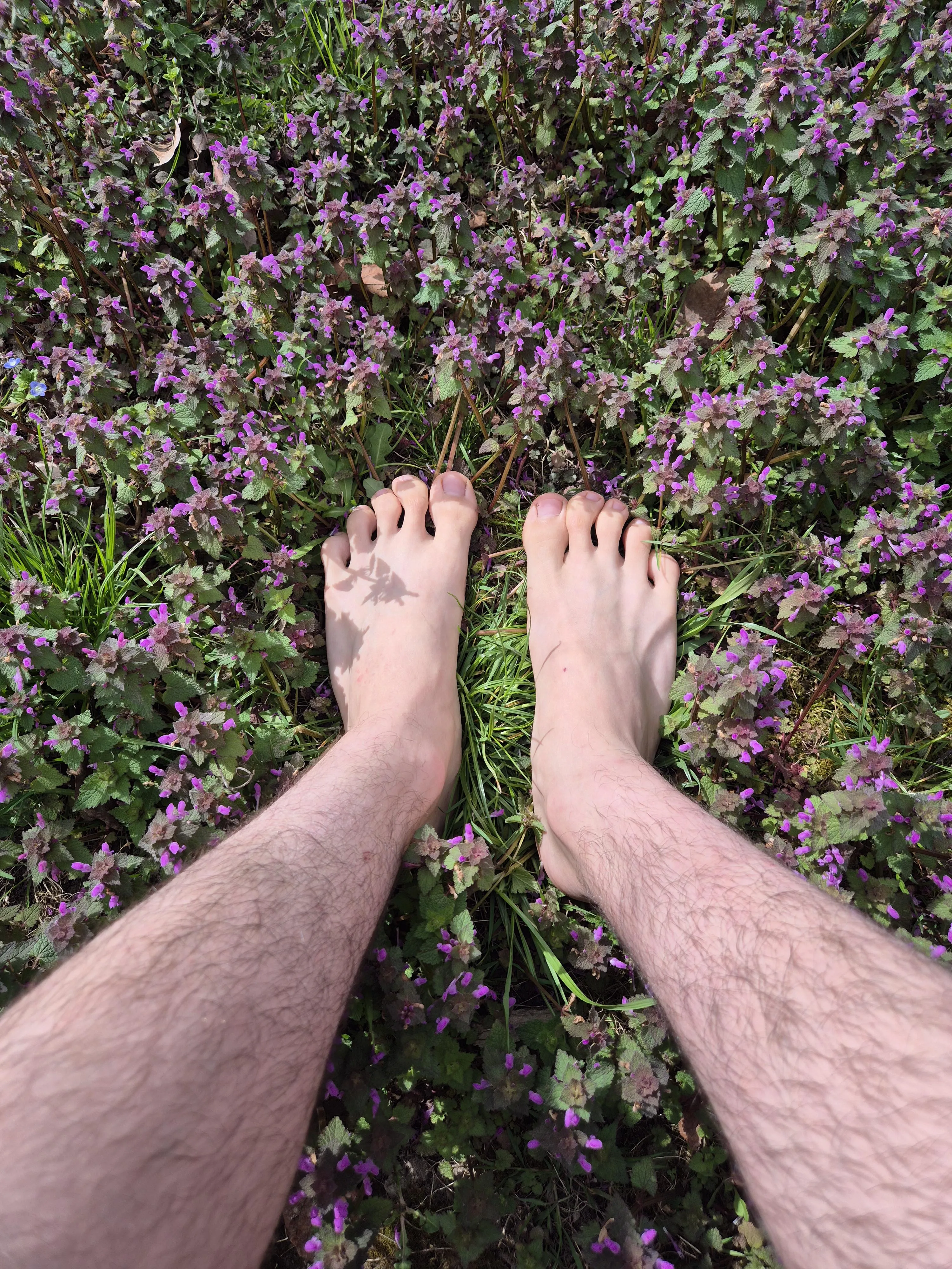 What are these flowers called?