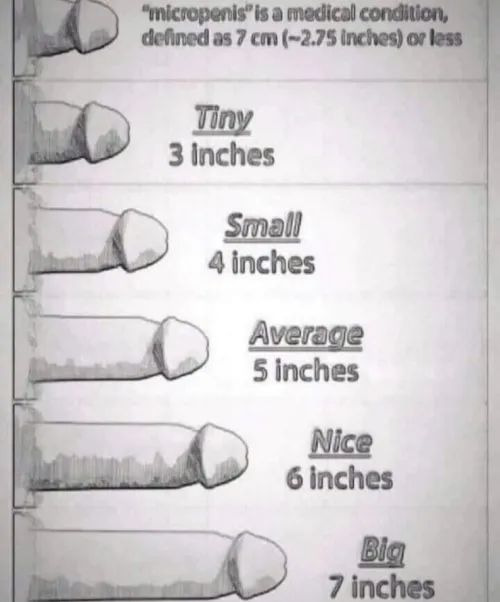 What size are you? And Dm me to prove it 😏