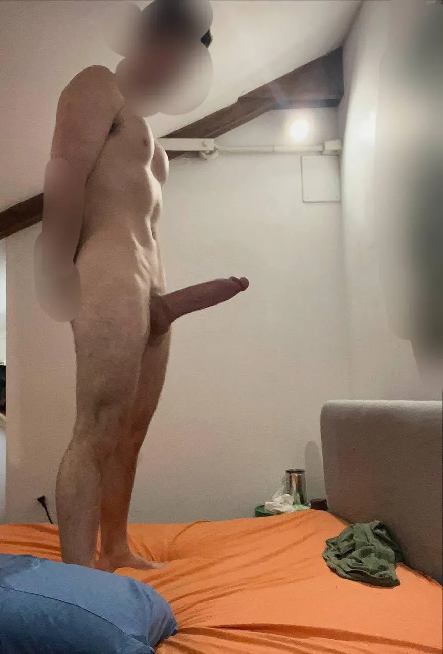 You can tell him we are studying…