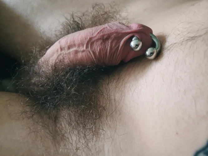 2G is back back again