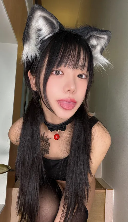 Asian cute kitty