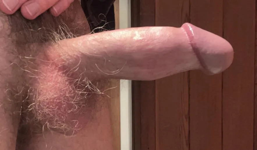 furry and shiny my favorite