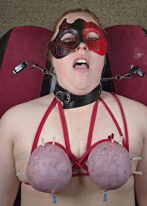 Just found this sub, hope I belong here.