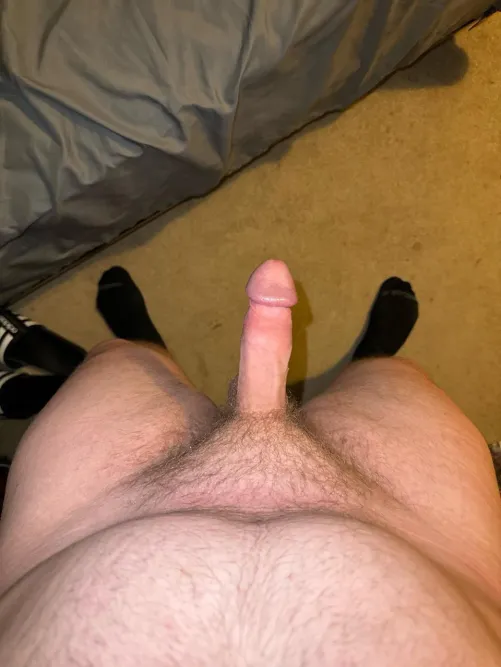 Ladies, what do you think??