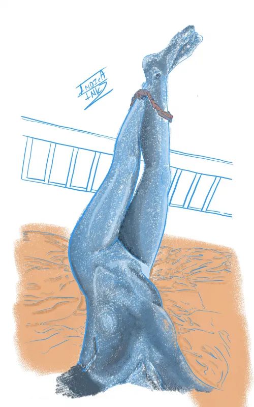 Mrs razzle dazzle on a bed of luxury