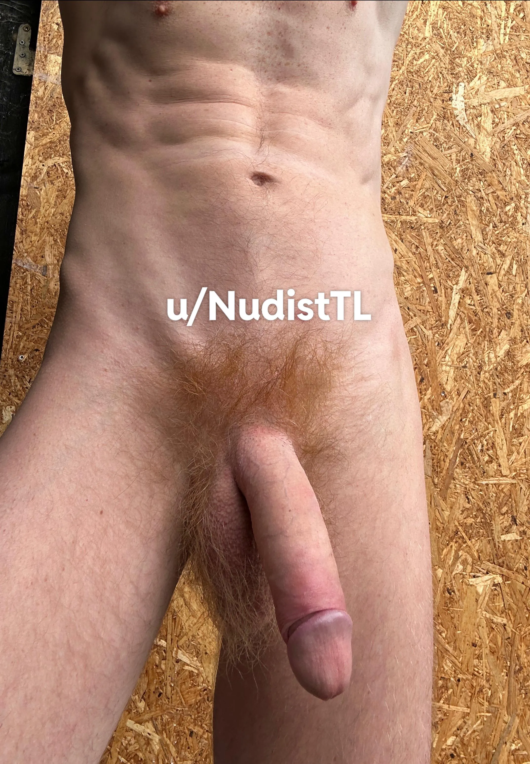 My cock is full of long orange pubes. Hot or not 🧡❤️