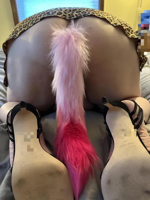 [OC] A little tail for the weekend