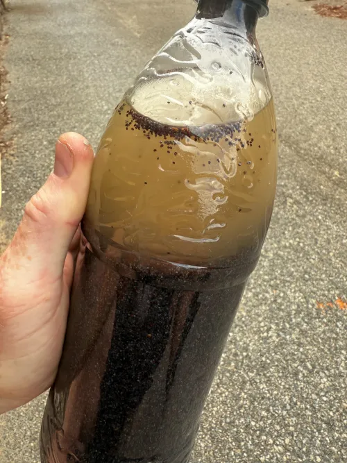 This tea look any good?