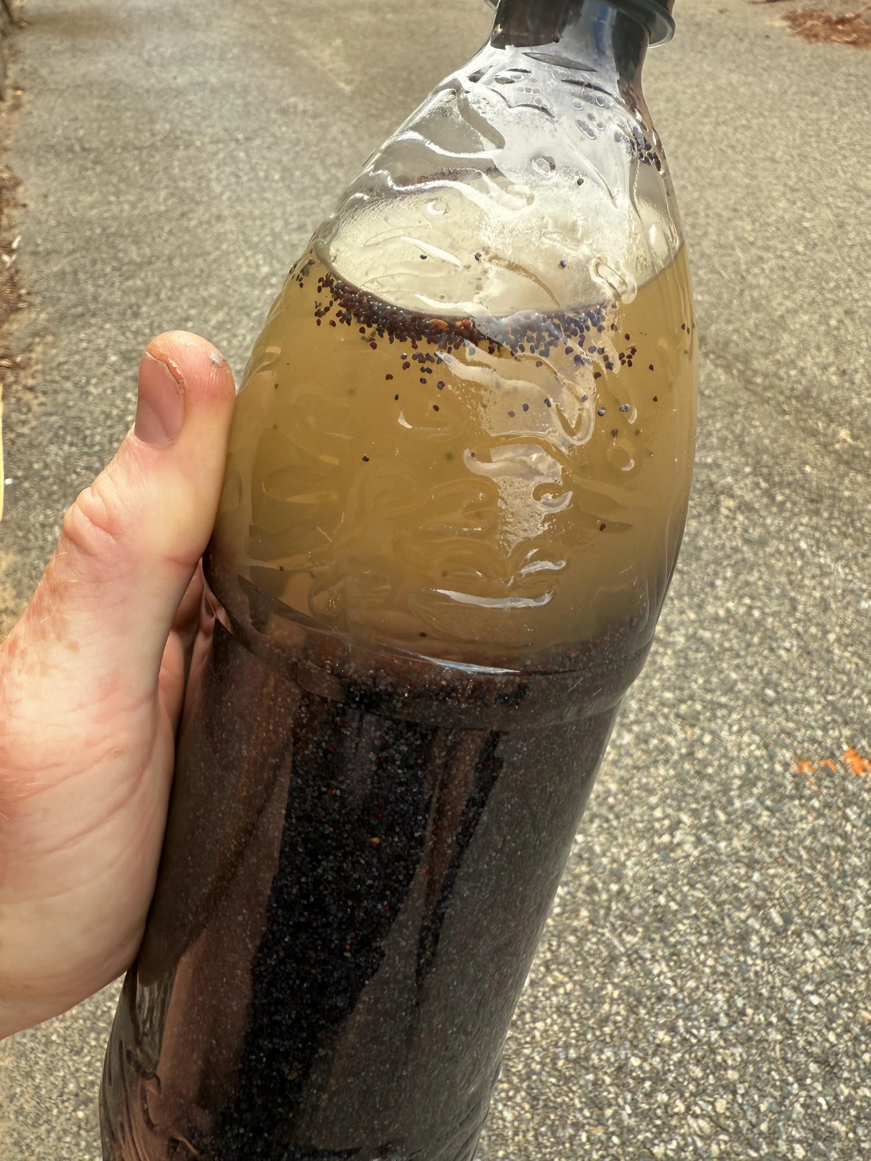 This tea look any good?