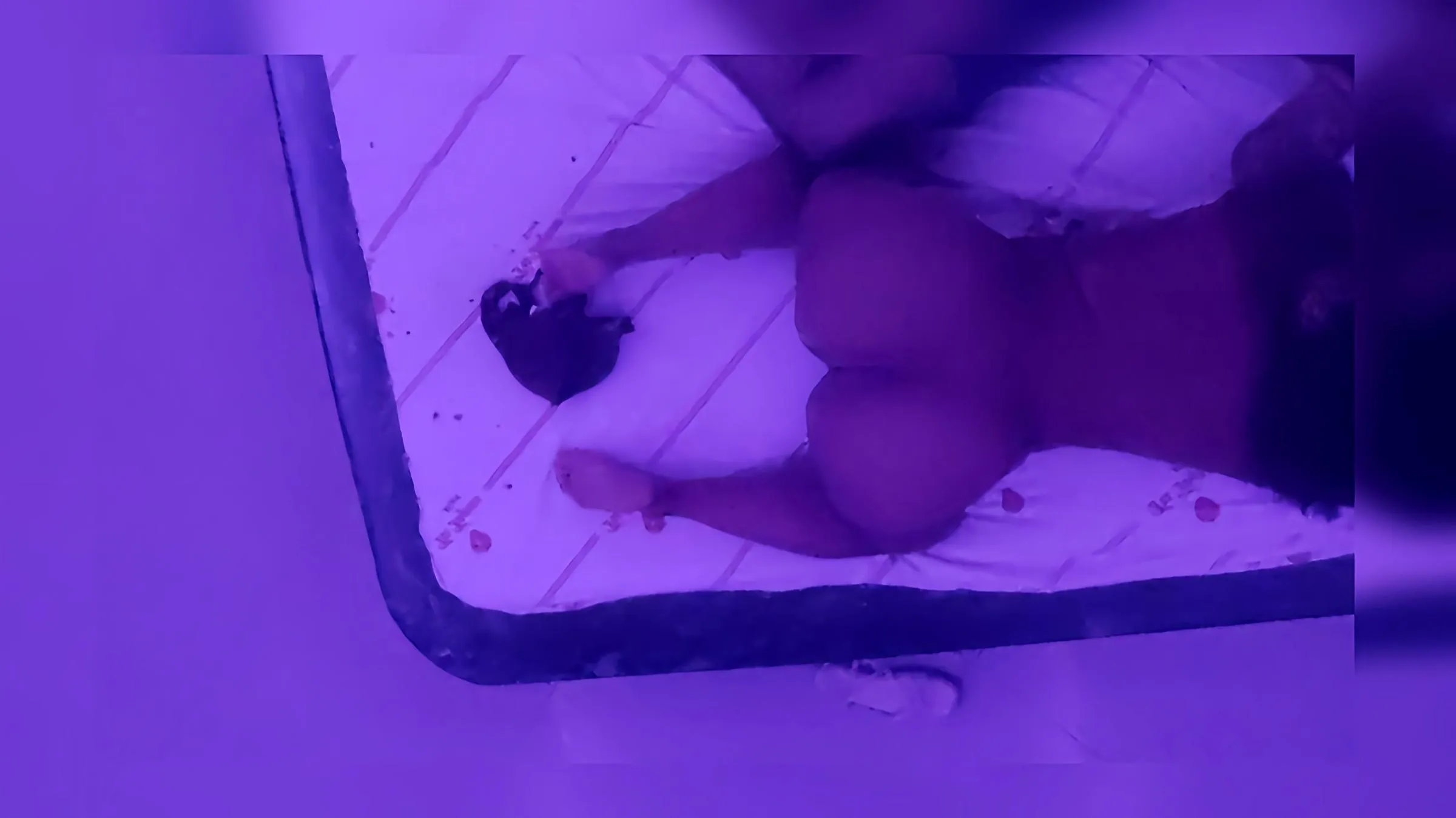 Uma amostra de um pouco desse rebolado... ???✨ Vem conferir tudo no Twitter! 🔥💦