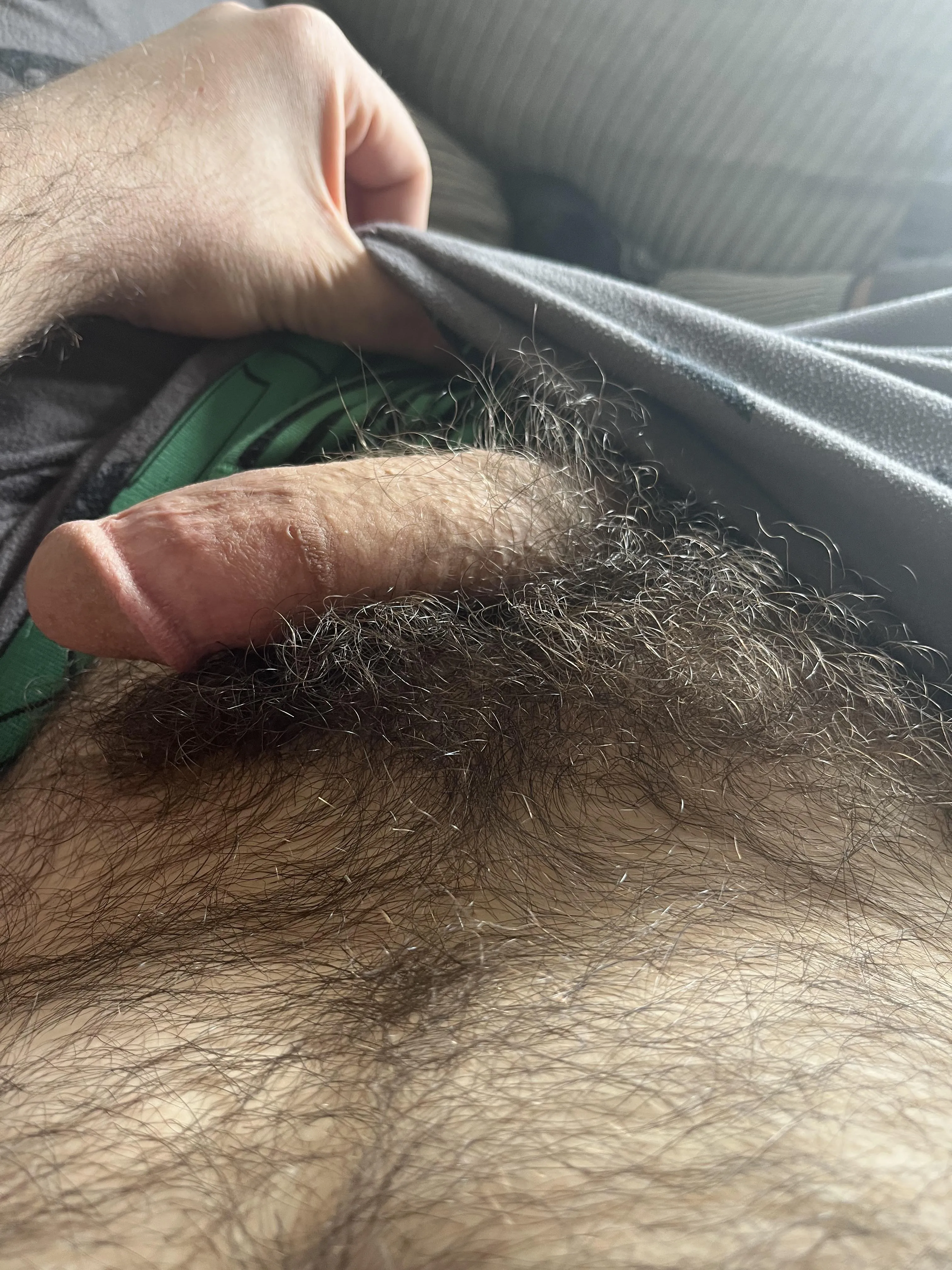 What do you think of my pines?