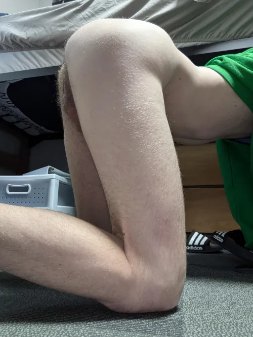 19 wish a daddy was breeding me rn