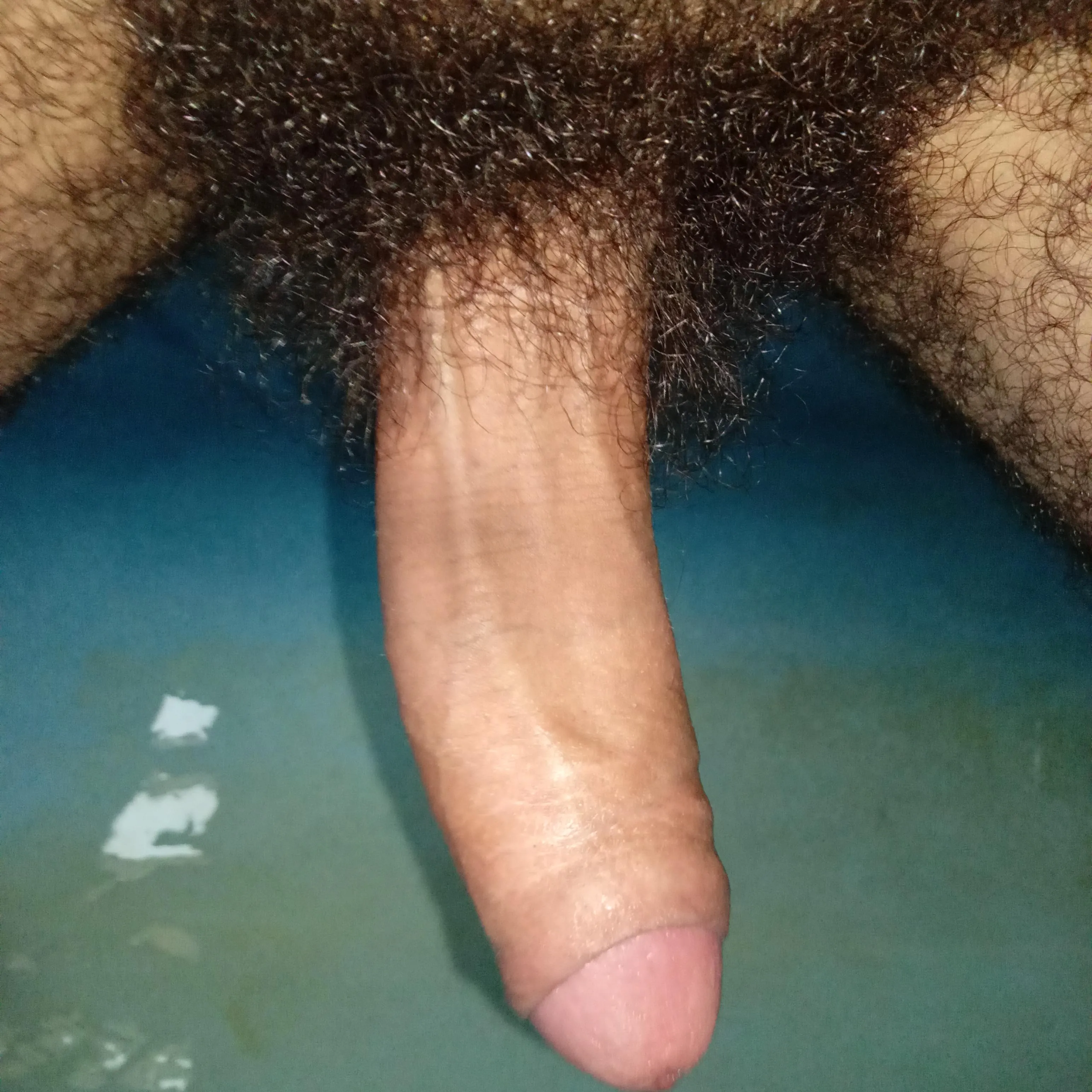 [23] first post here,shy about my bush