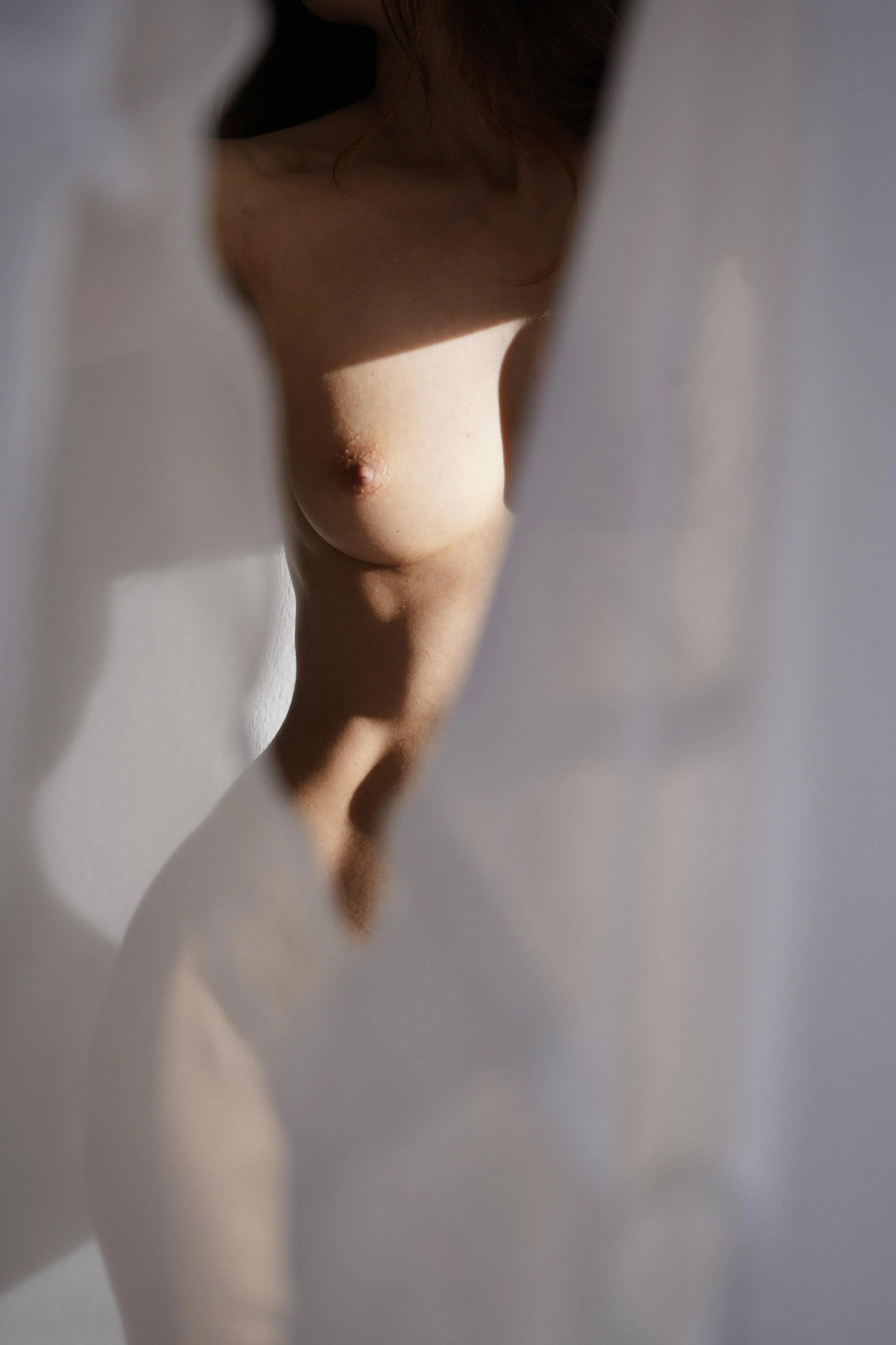 a piece of light and warmth