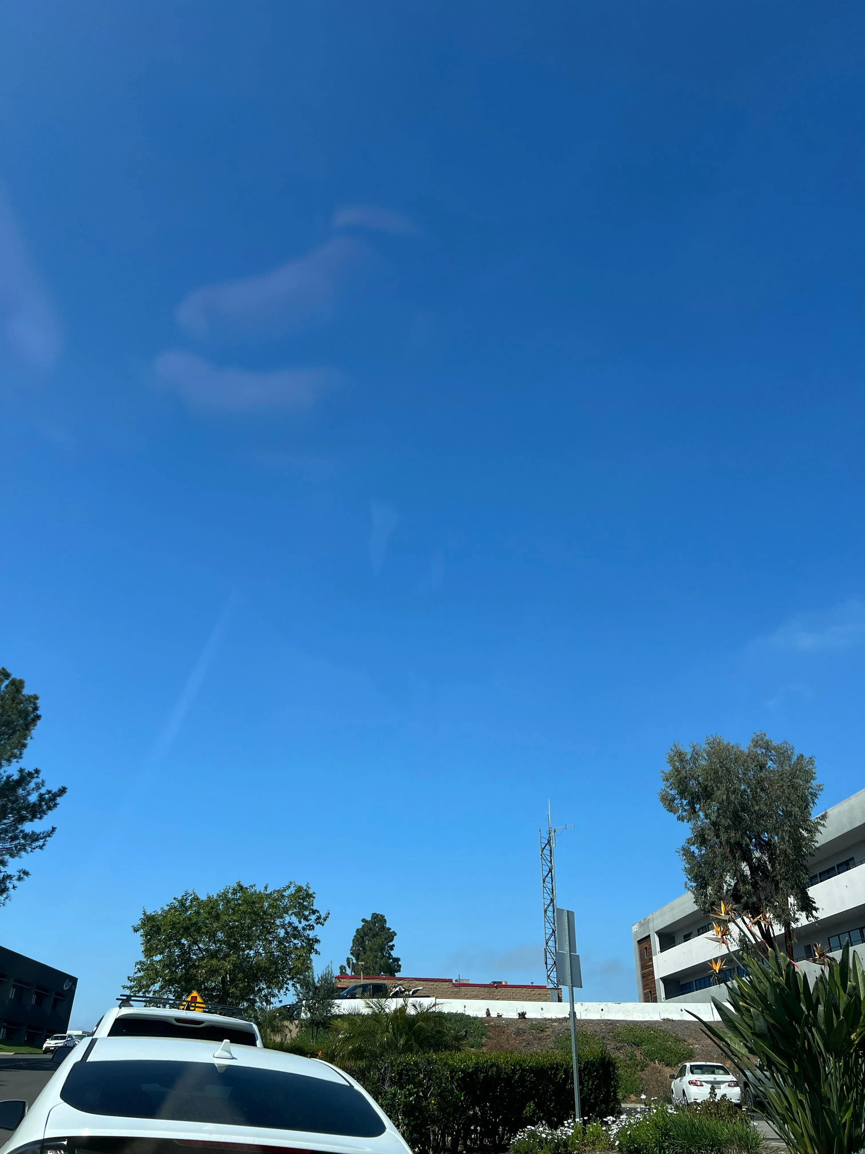 Any older white men here today? AE Convoy ☺️