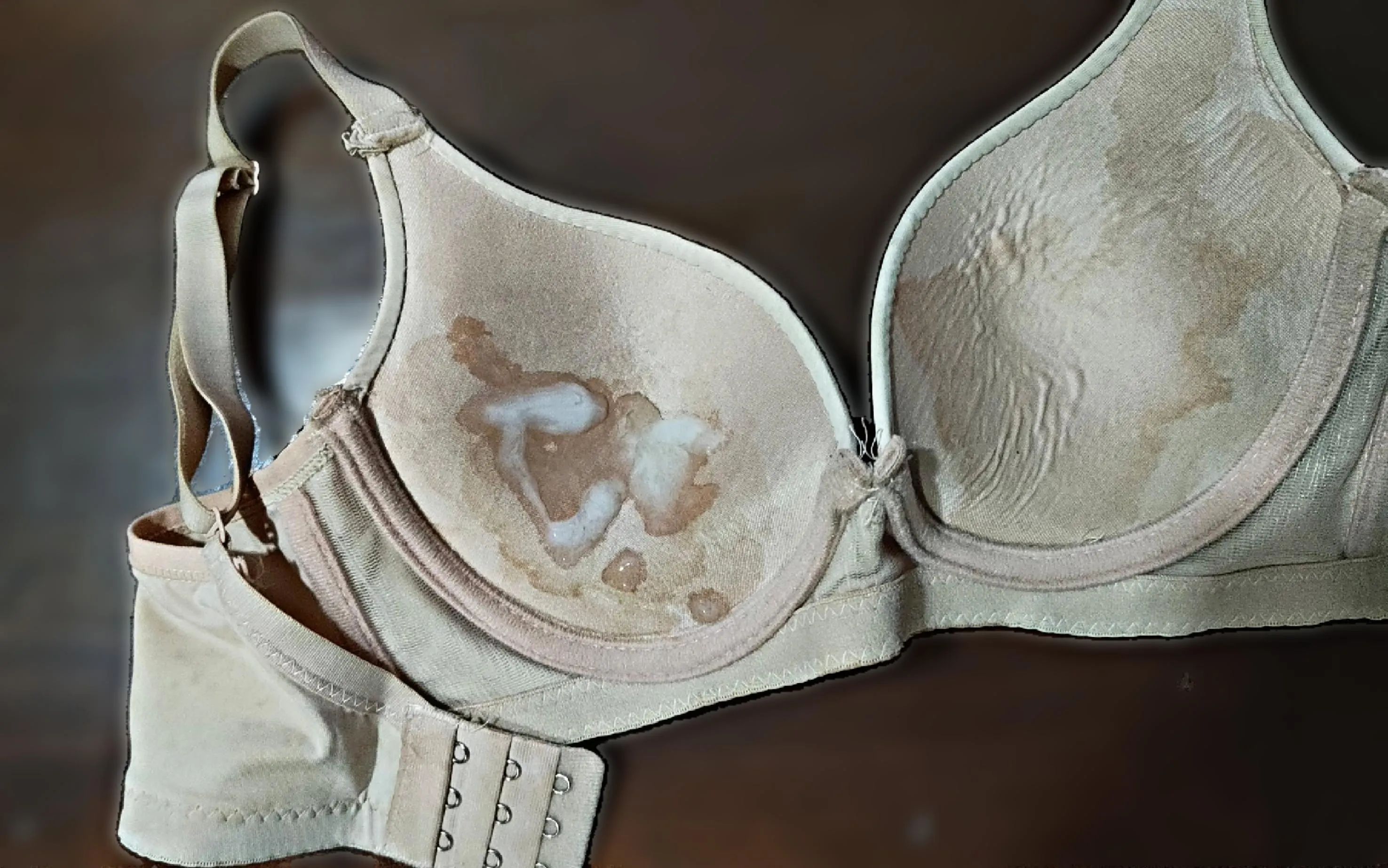 Day 15 - A milestone? How long should I go before switching to her other bra?