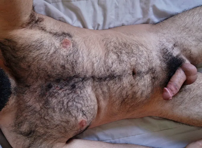 Insanelyhairy session