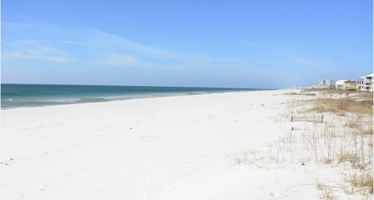 Just arrived to gulf shores looking for fun 28F 30M 4 F/MF more pics on our profile