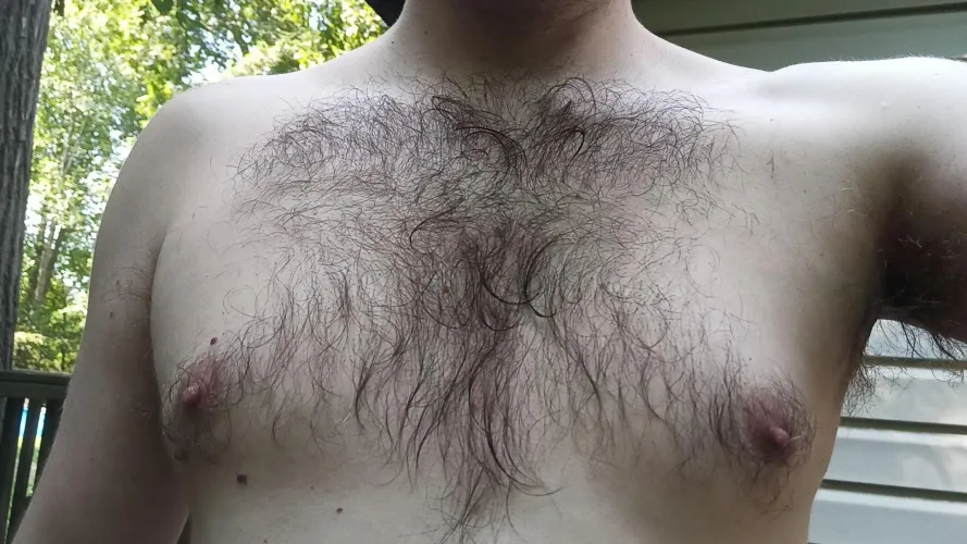 Looking to get my hairy, puffy nipples molested. 🤤