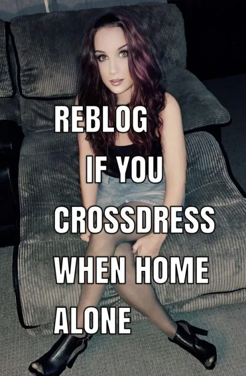 Reblog...