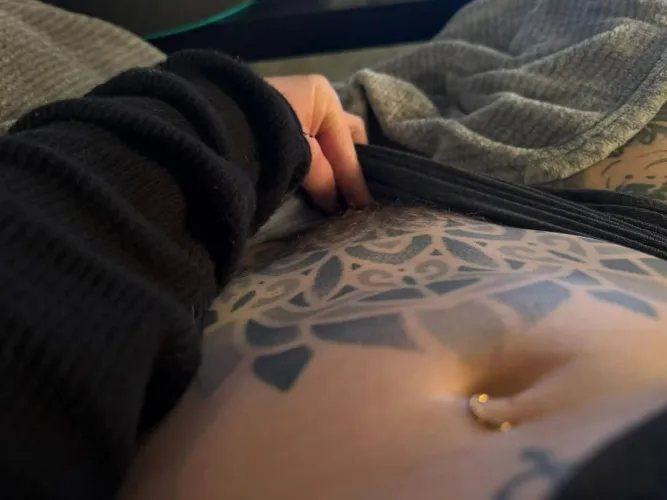 The lawn is coming in nicely