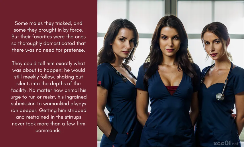 Thoroughly Domesticated