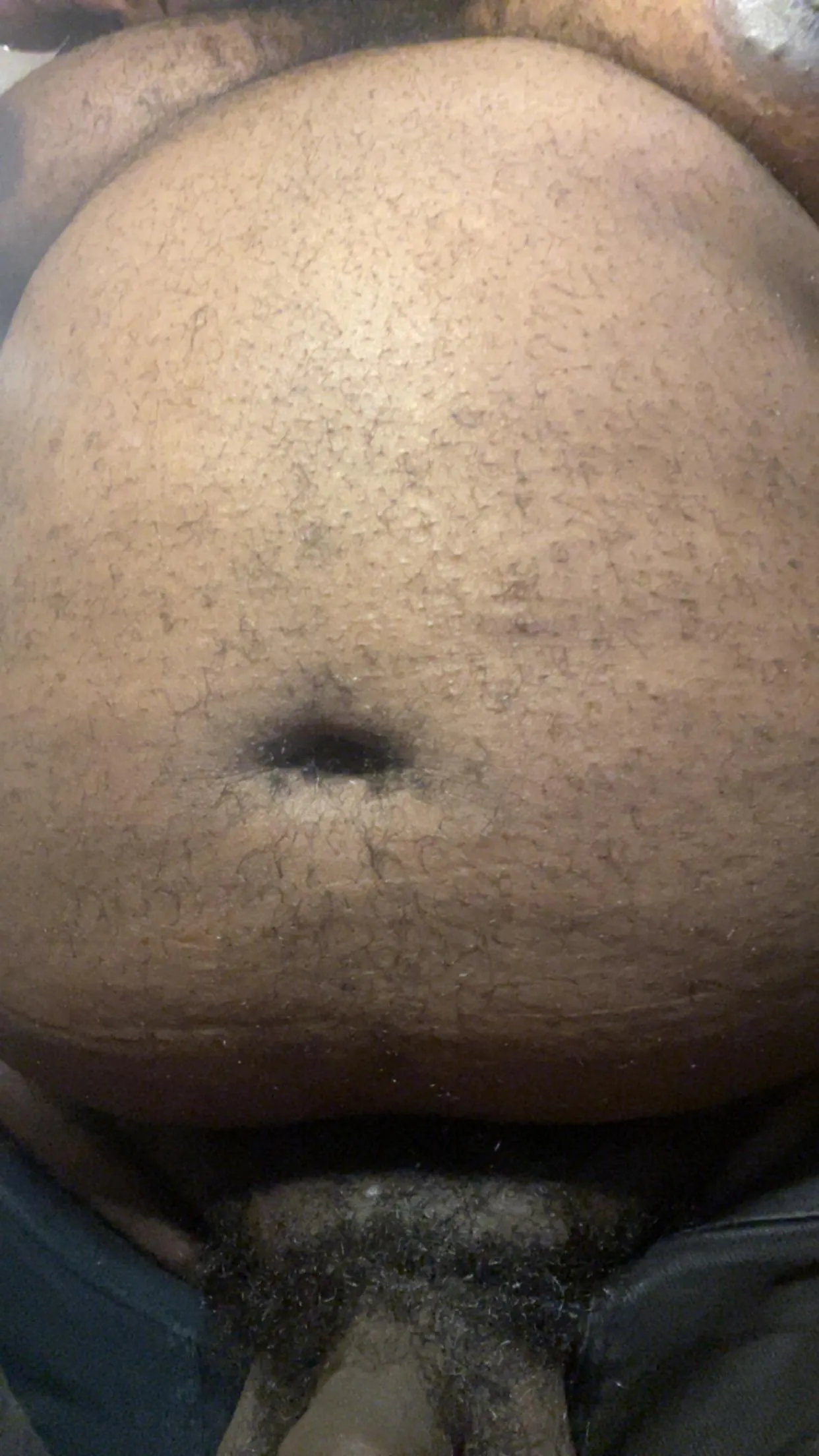 32 black bear. Full belly 😩