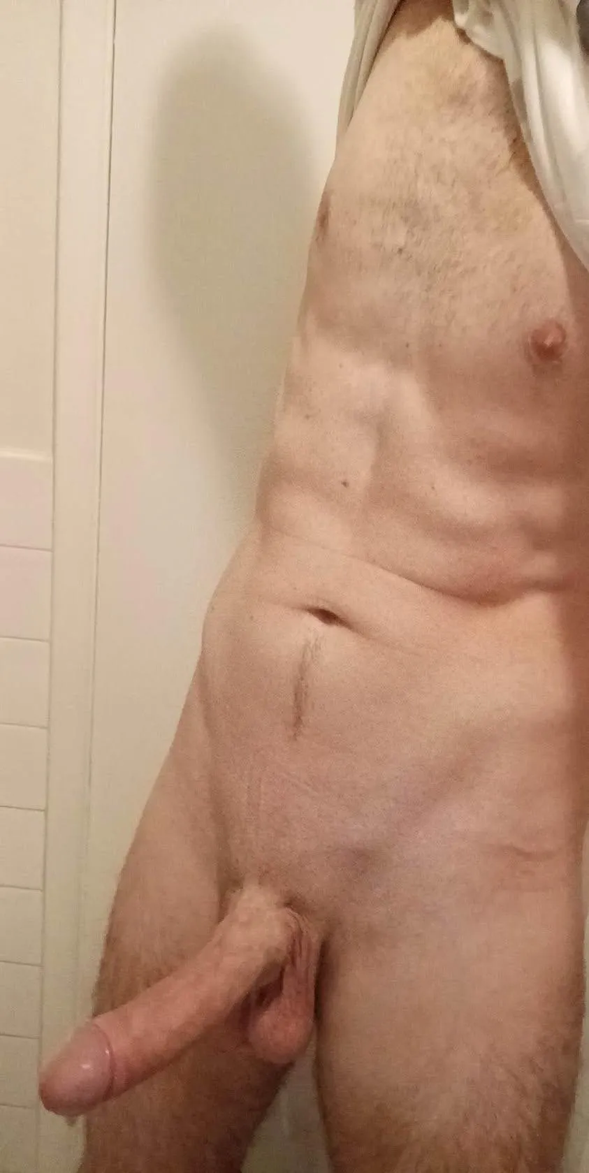 33 M Christchurch hosting