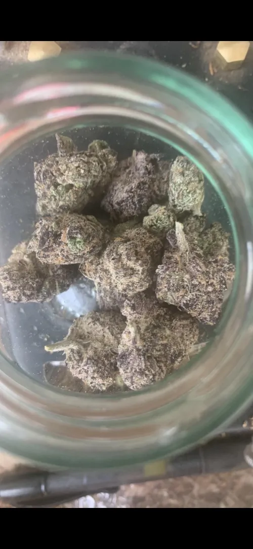 420 Crew free sample .I don’t know the strain but I know it’s purple and it’s fire . They sent me close to 5gs (supposed to be an eighth)for shipping costs .I will be a repeat customer