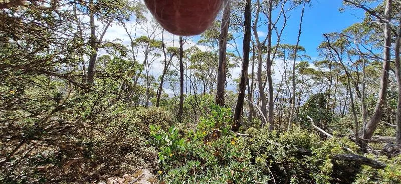 A lovely view from an Australian mountainside. It was cold, so enjoy my suffering!