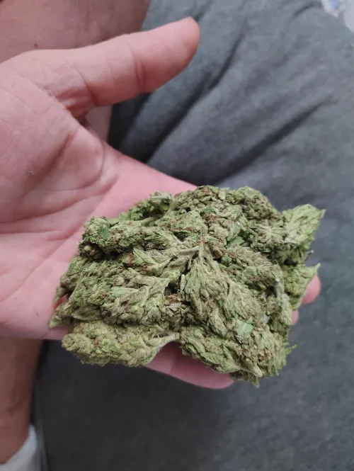 Chem Sour OG5 - JK Distro