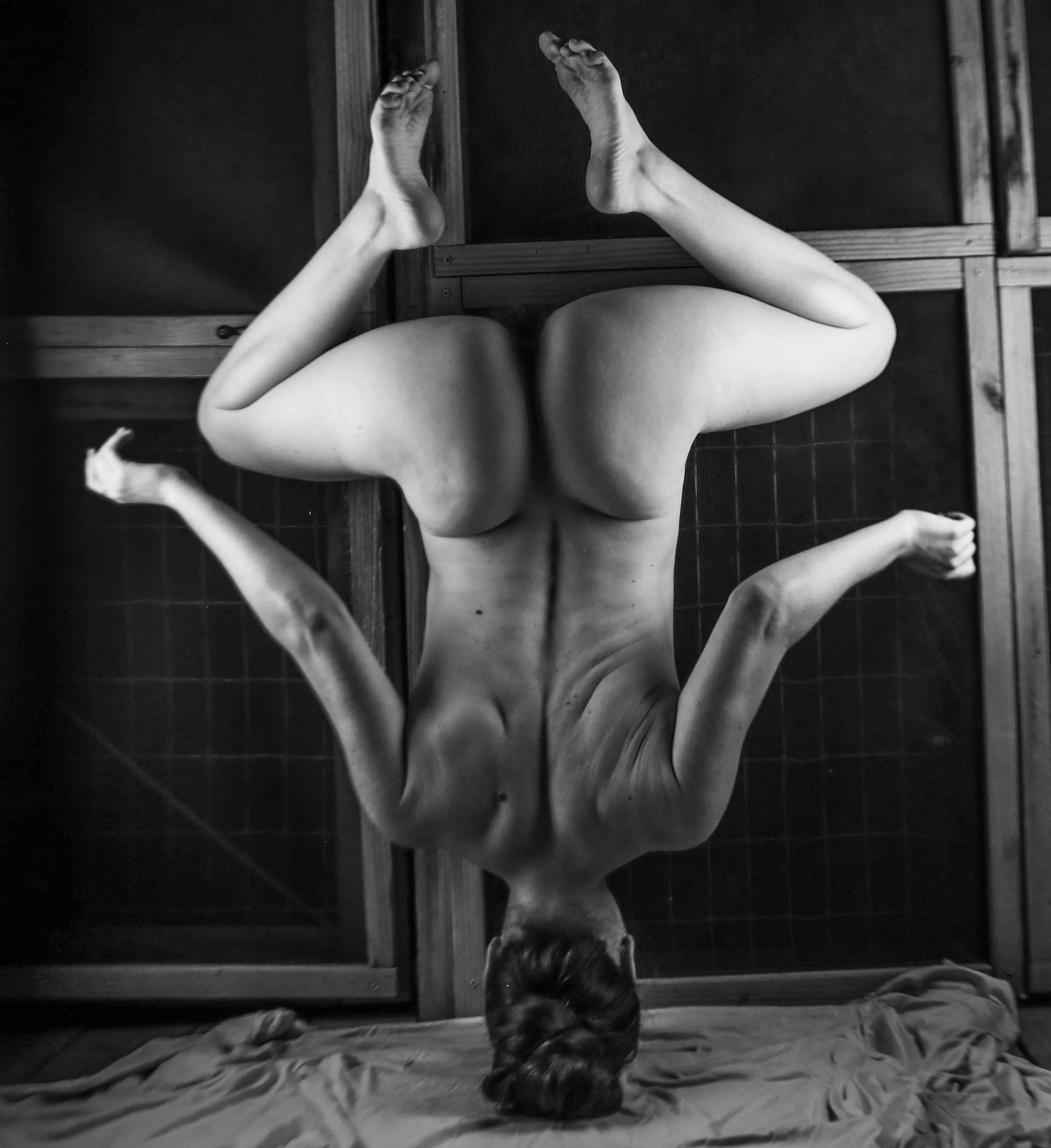 i can shake the leaves of hereditary (self shot)