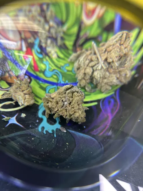 Insulin Shock mold RIP