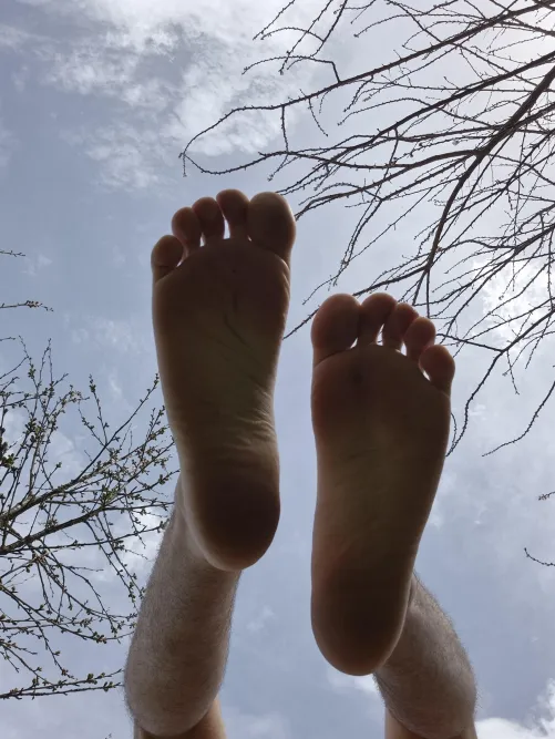 My feet need to be Worshipped