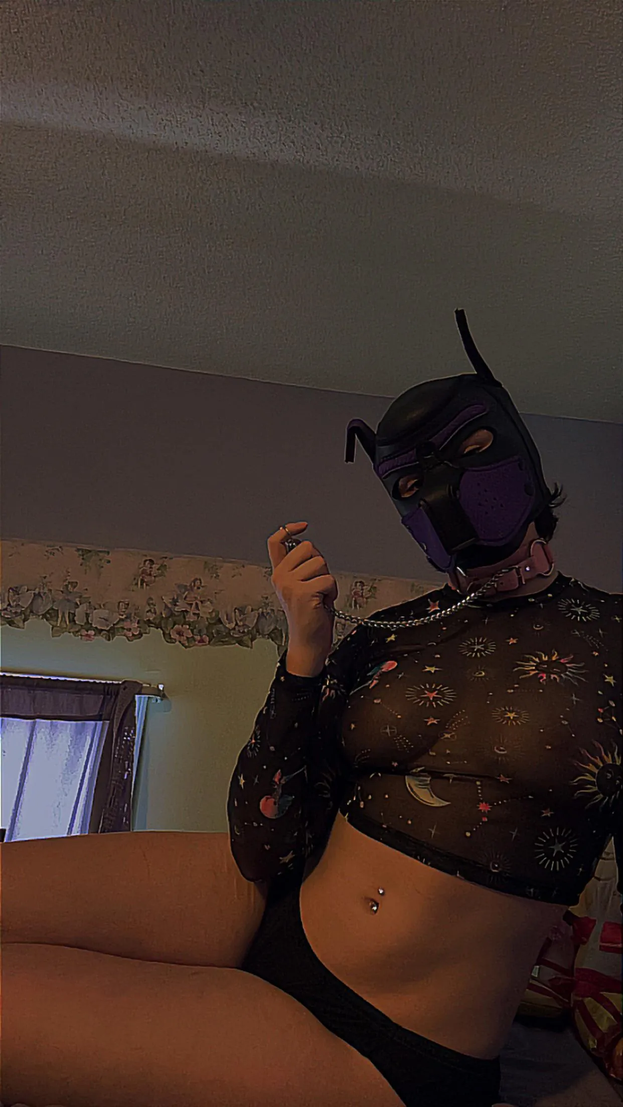 My leash is all ready, who wants to take this lil pup on a walk? 🐾🚶