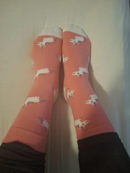 Today is going to require unicorn power to get me through