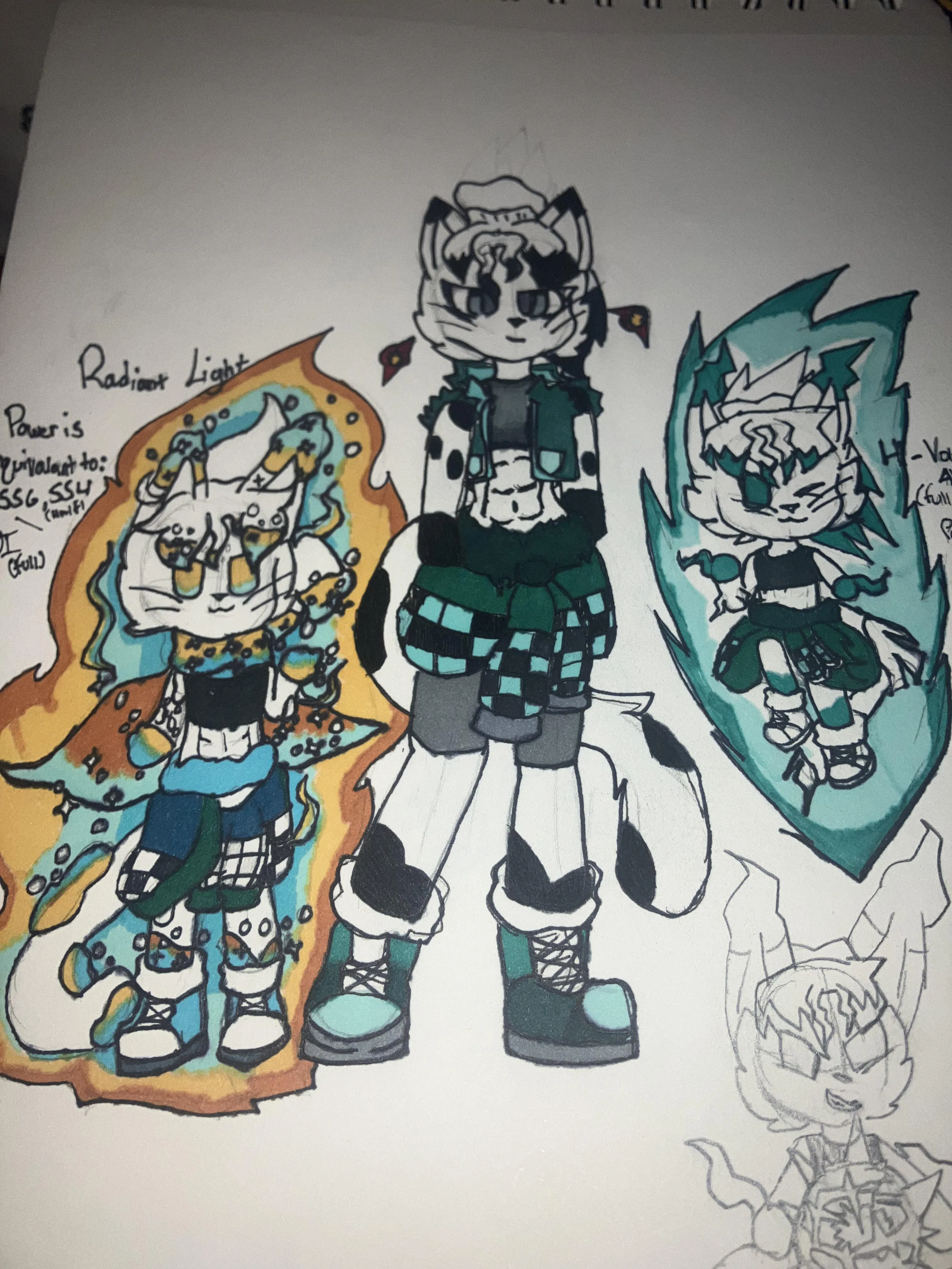 TRANS FELINE TRANS FELINE TRANS FELINE