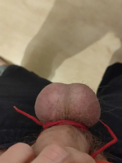 Watch me ballbusting Pegging