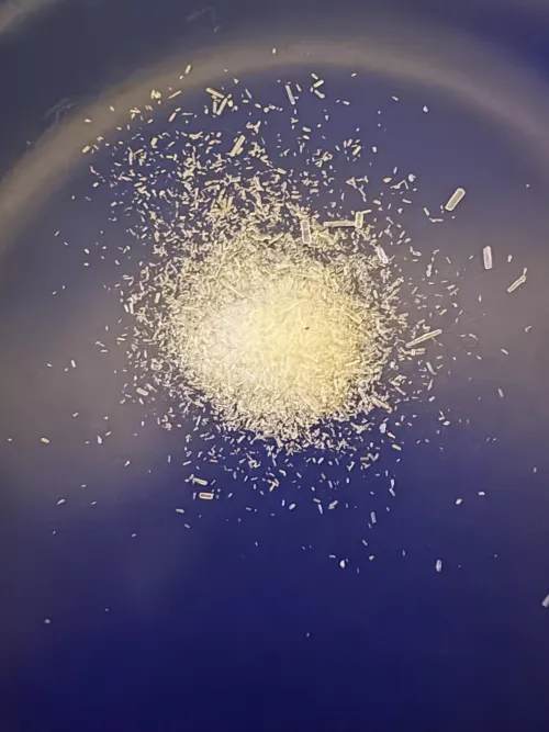 1 gram of R-Ketamine 🦄