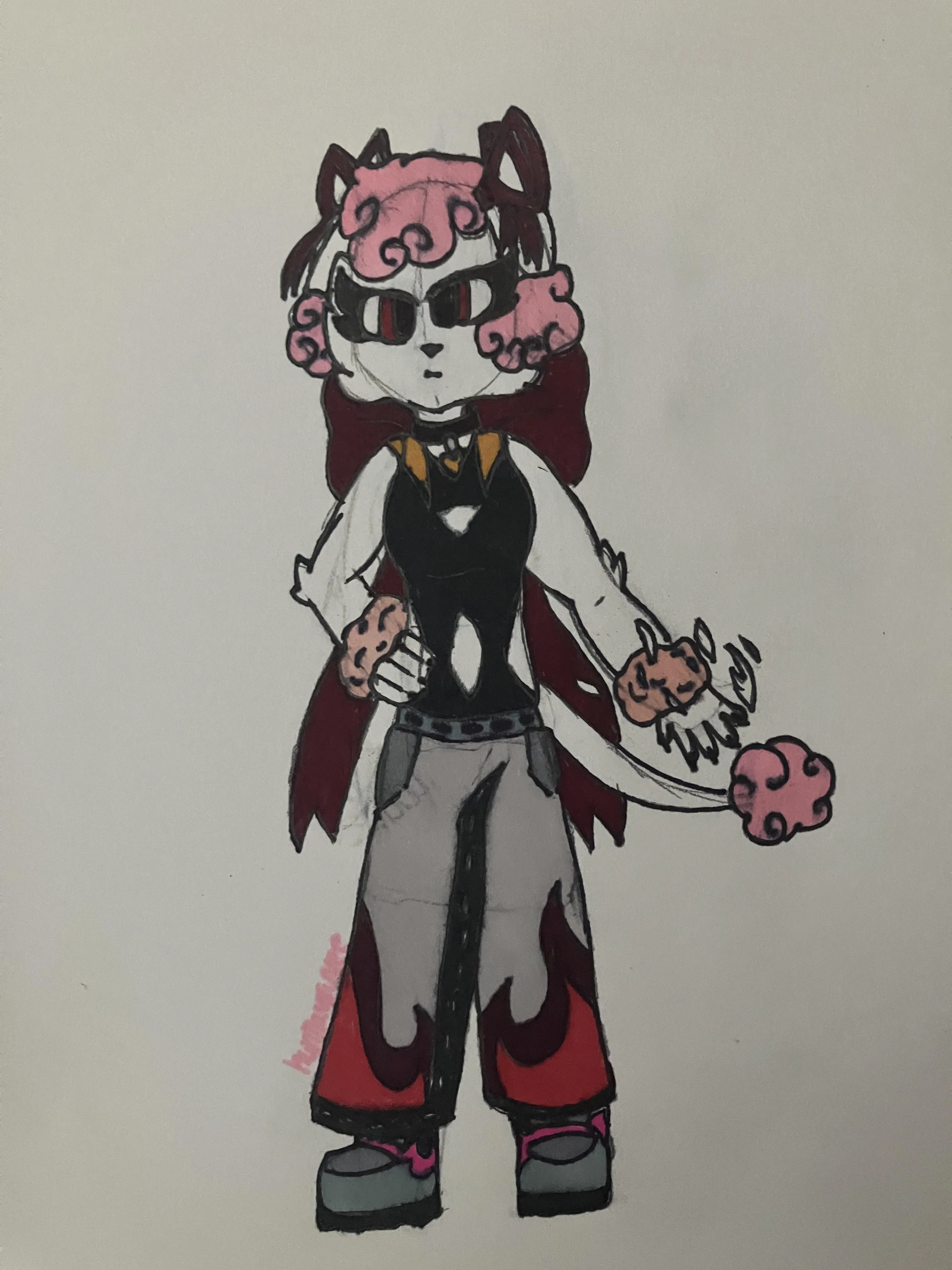 A poodle that I have absolutely no idea what to do with. (Puzzelia du Charron)