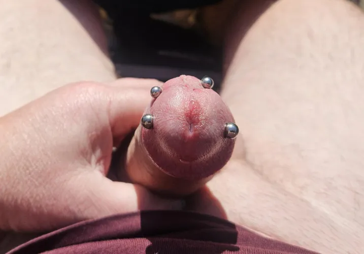 Ampallang and Frenum good combination I think